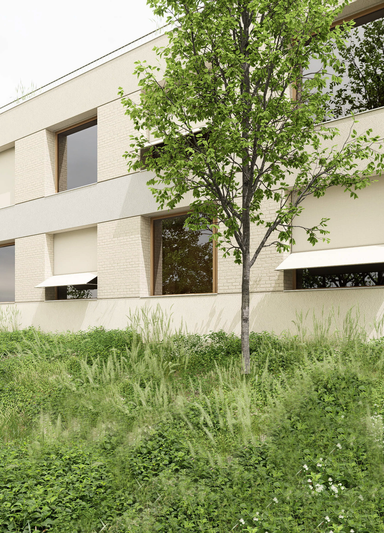 JÍL_260107_detail_4K